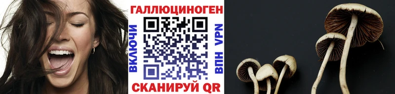 Галлюциногенные грибы ЛСД  Владивосток 